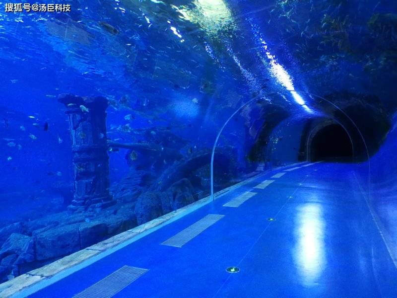 海洋馆工程哪家好_公司_的项目_海洋生物