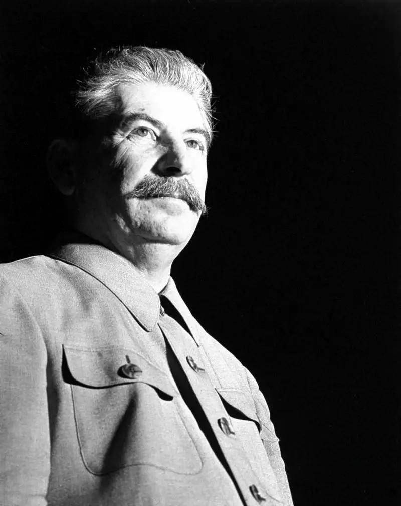 斯大林对科技文化工作者的镇压,众多著名科学家未逃过此劫