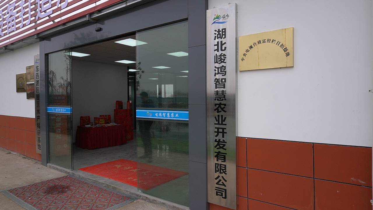 农业开发有限公司还积极参与社会公益事业,为当地的经济发展和环境