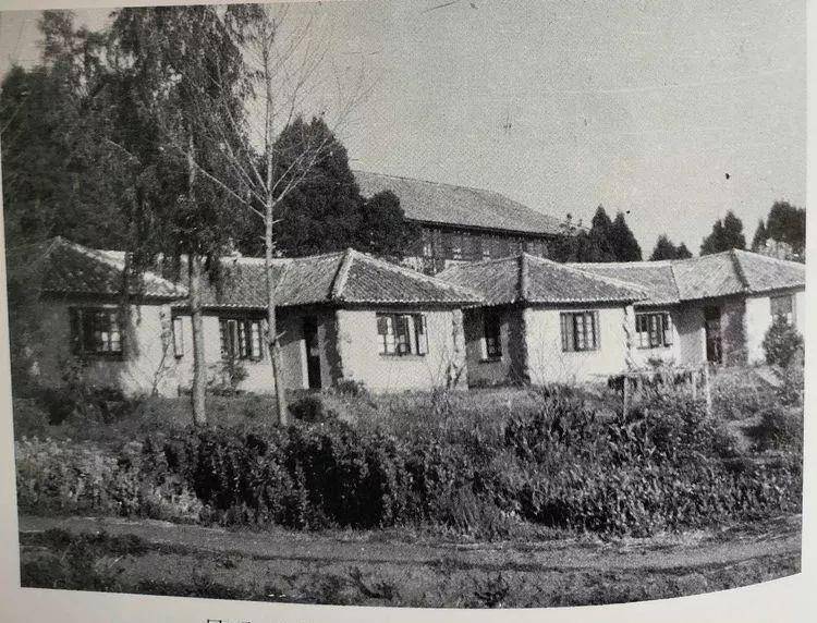 他一生从医,救人无数,61岁自杀,无葬礼祭奠,妻子为他保存骨灰