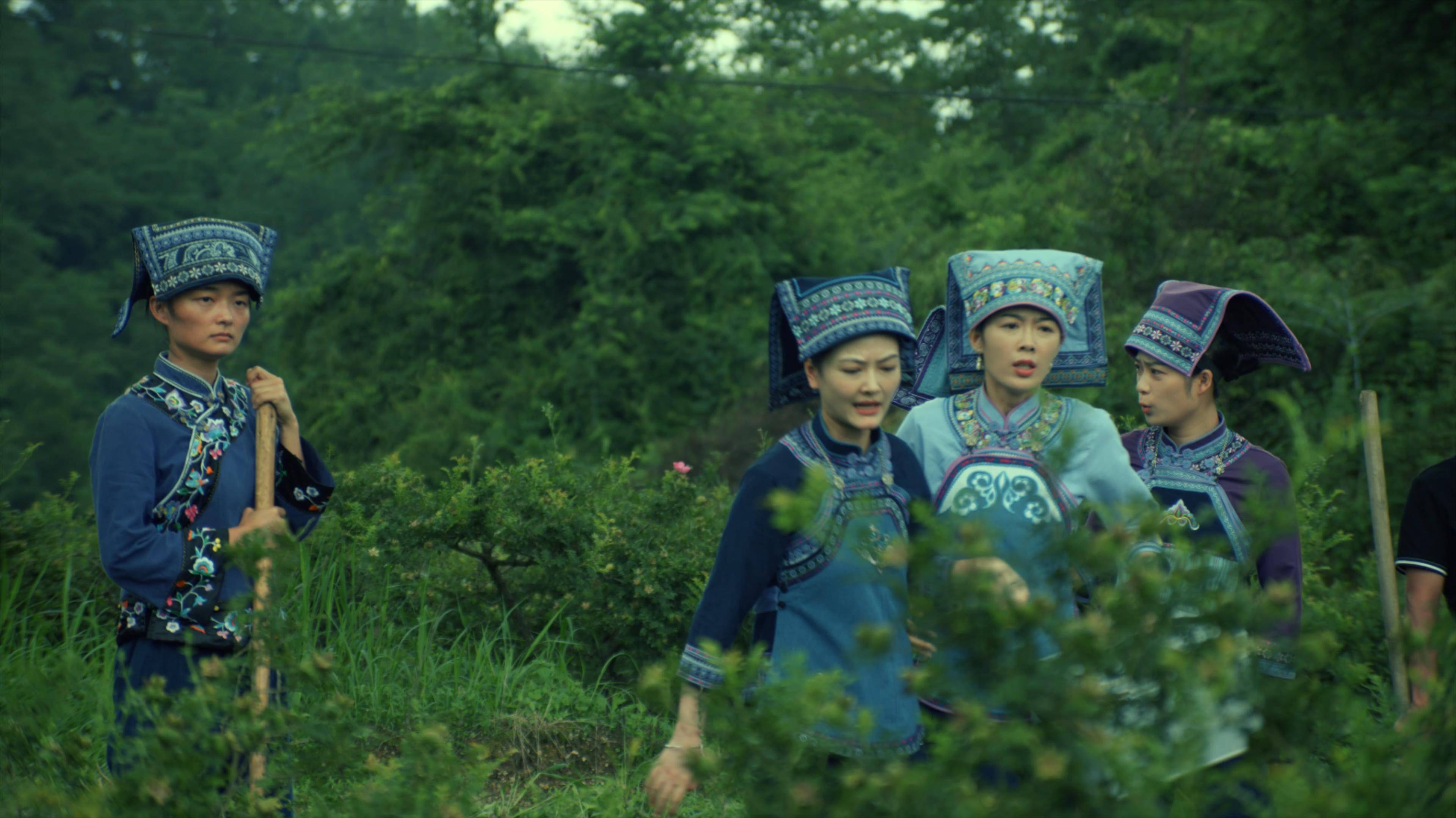 黔贵风情绽放!千优谷亮相《刺梨花开》电影首映式-搜狐大视野-搜狐新闻