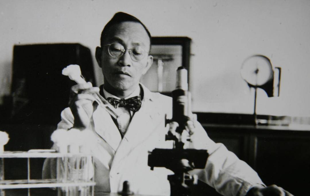 他一生从医,救人无数,61岁自杀,无葬礼祭奠,妻子为他保存骨灰