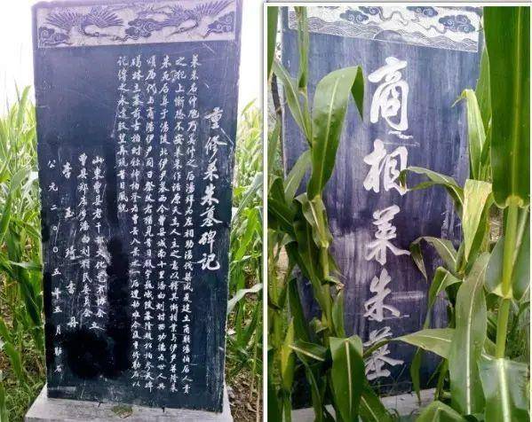 曹县箕子墓:留一方坟茔 传箕子圣名