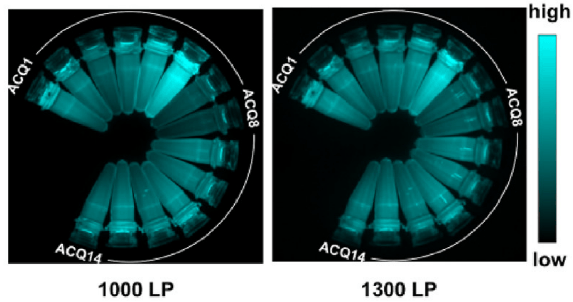 julolidinyl aza-bodipys 作为 nir-ii 荧光团用于纳米载体的生物成像