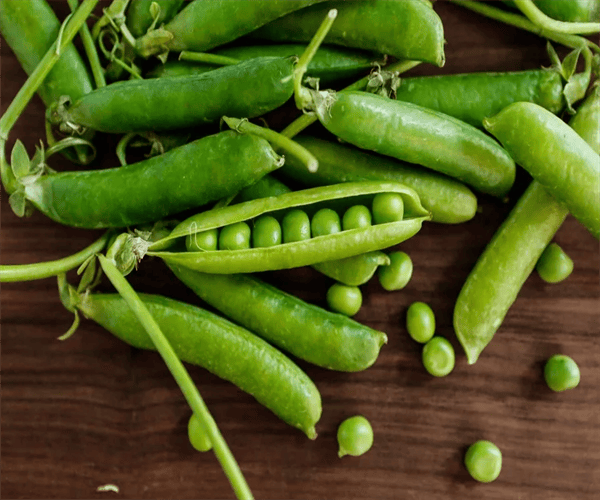 豆类蔬菜维生素检测 豆类蔬菜种植土壤检测