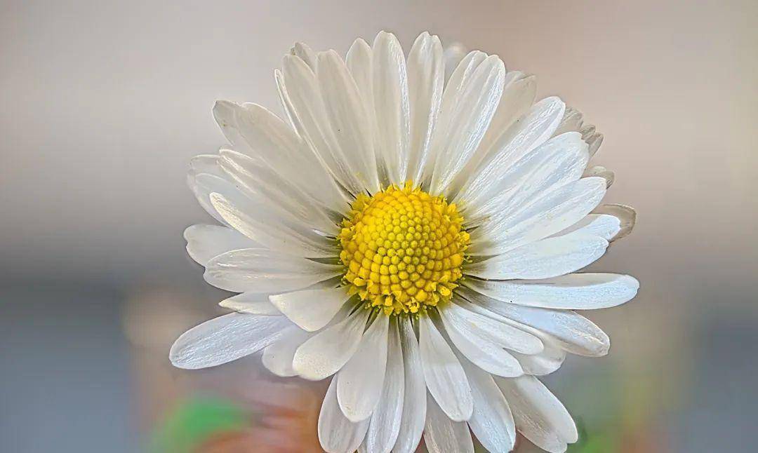 人到中年,最怕没钱!(好心酸)