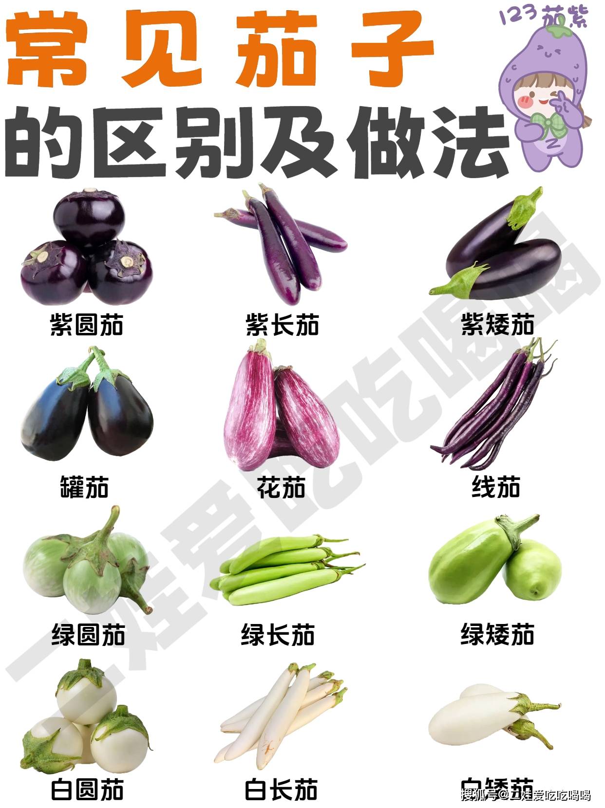 茄子年轻时候照片对比图片