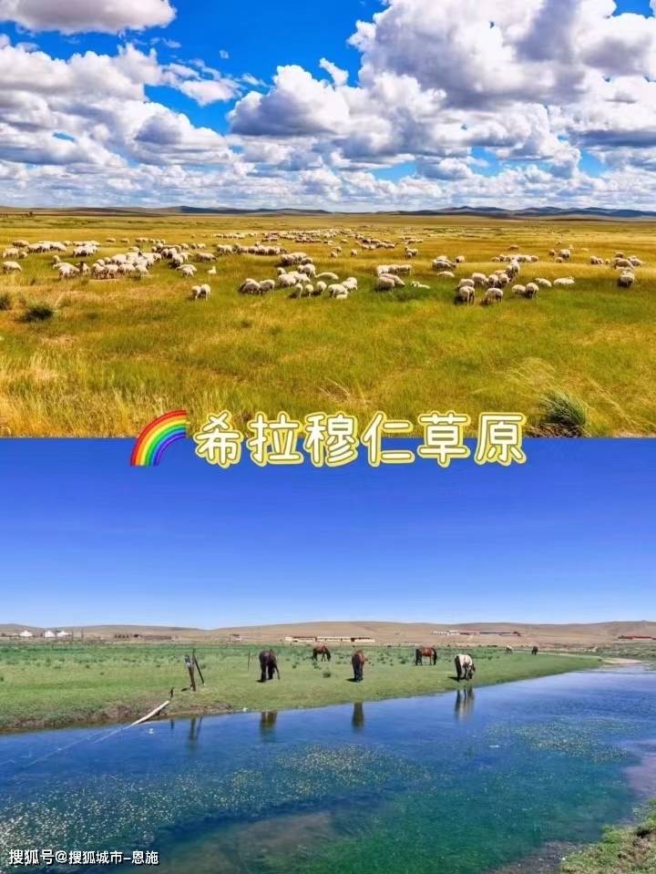 希拉穆仁草原_阿洁_旅行