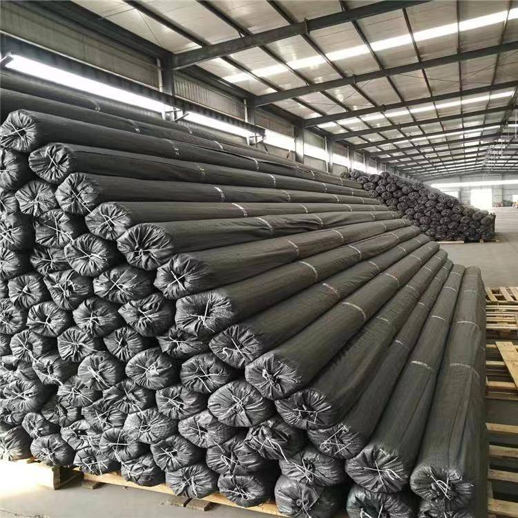 玻纤土工格栅品牌厂家 道路工程土工格栅价格_路面_路基_性能