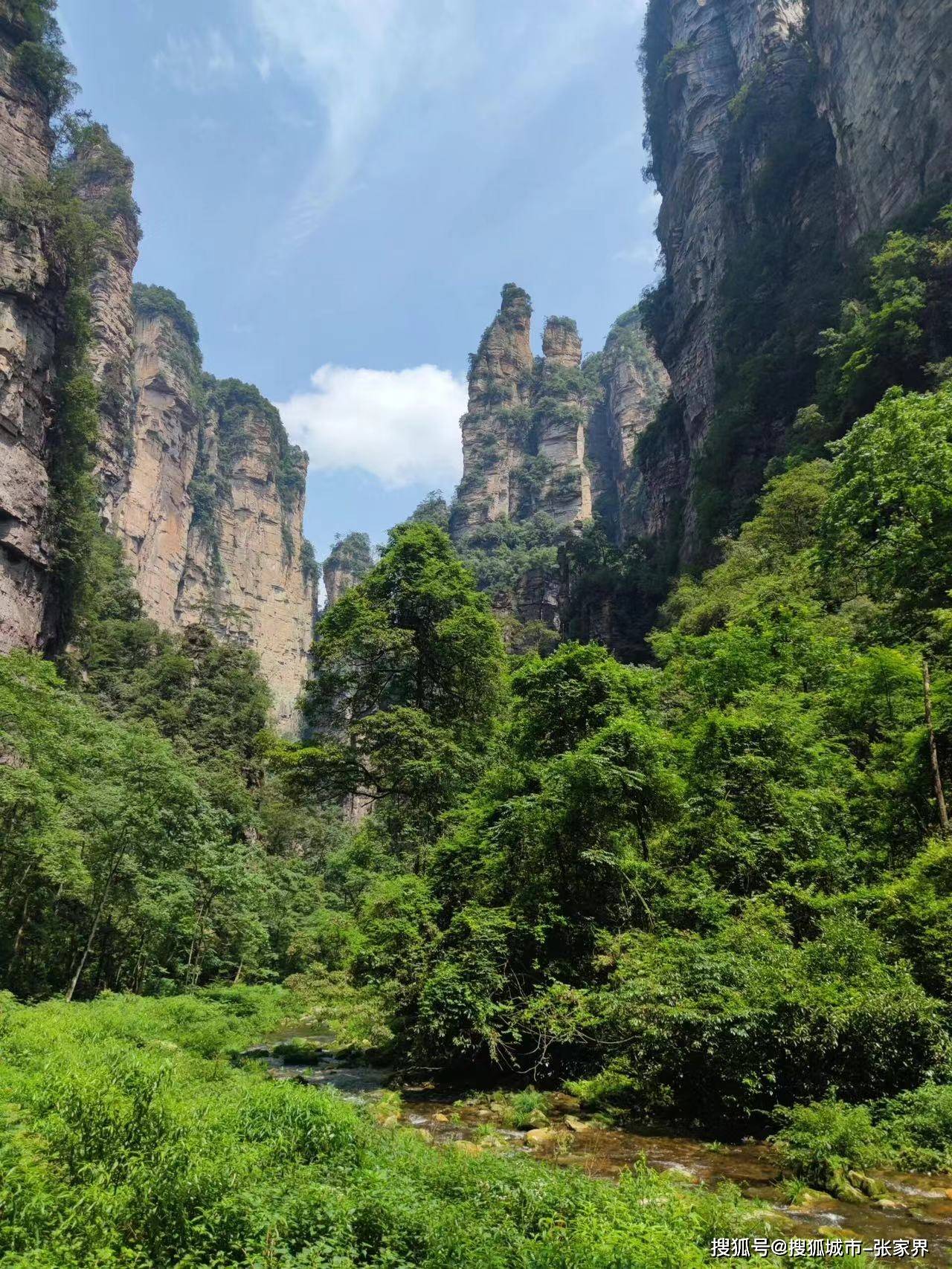 张家界旅游玩四天三晚攻略,张家界4天行程线路费用,看完这篇不迷路