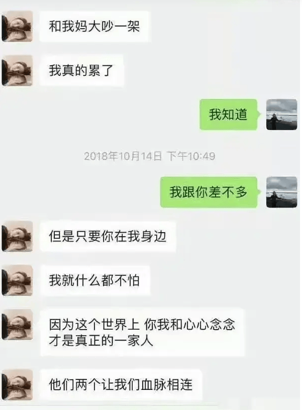 袁巴元聊天截图图片