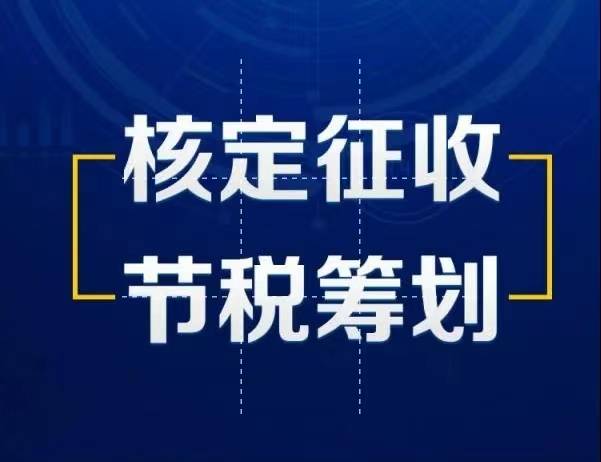 申请大额核定征收政策可解决!_发票_园区_企业