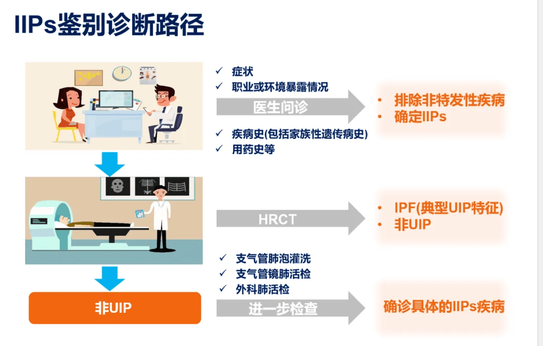 间质性肺炎与肺纤维化:区分,分类及特点概览