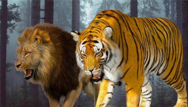 老虎和狮子谁更强?汉朝皇帝组织两场对决,结果出奇一致