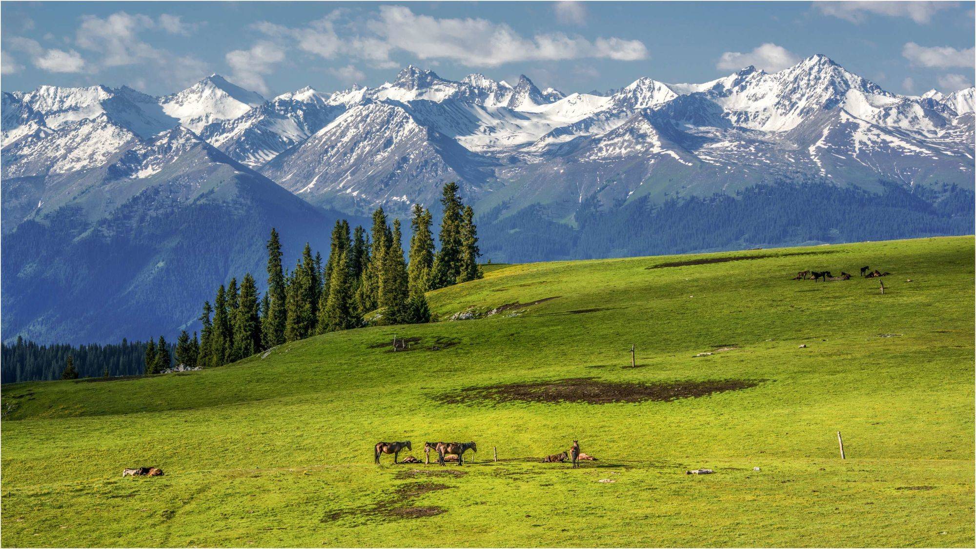 给力!可克达拉迎来新模样,又一张城市名片《可克达拉》即将发行