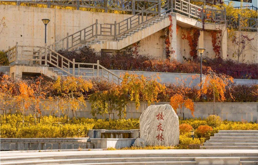 "沉浸式"逛校园|滴!东北财经大学主校区已到达