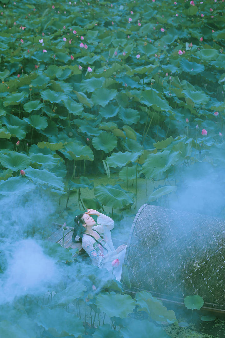 超清采荷花的古典美女艺术写真唯美手机壁纸