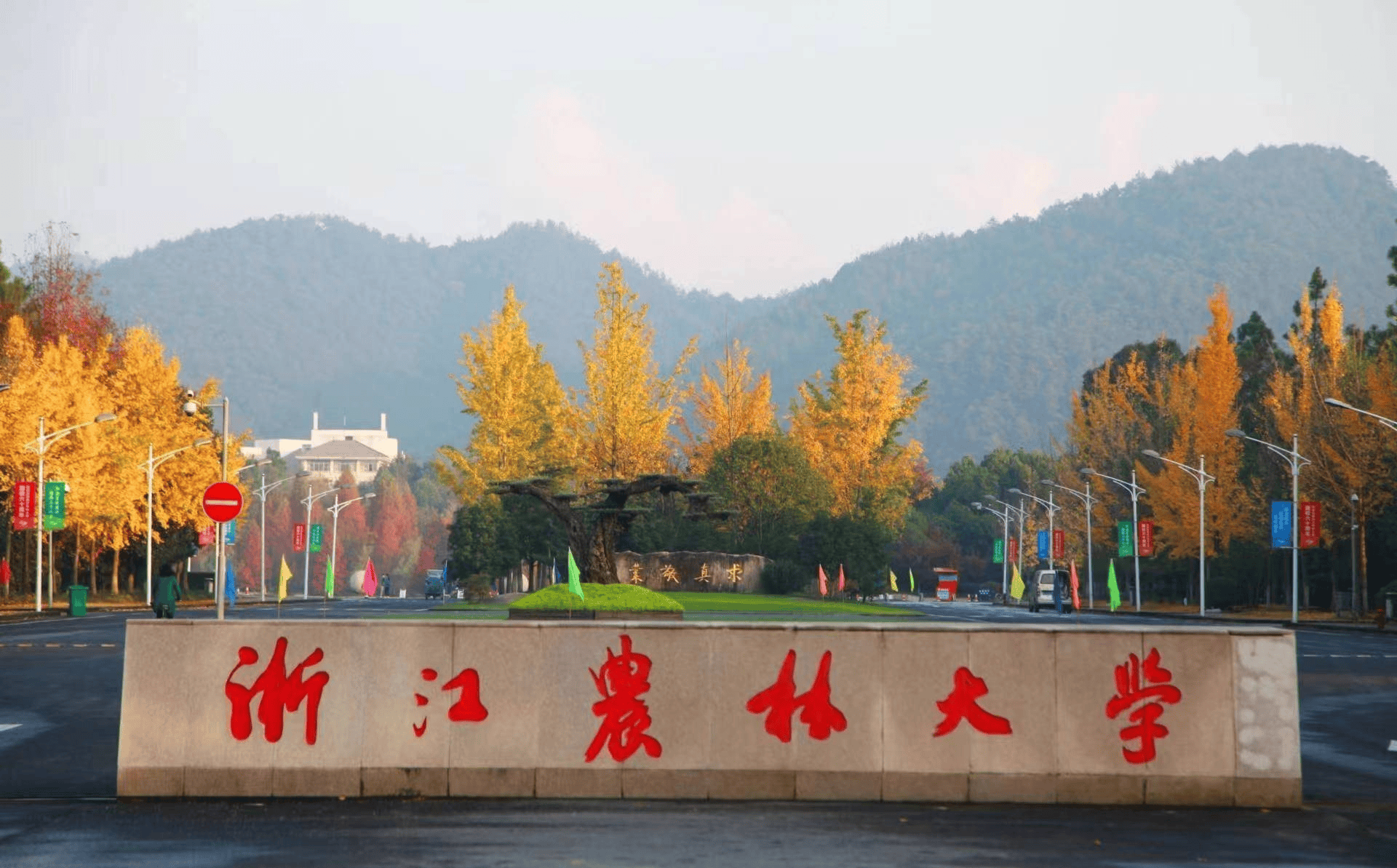 浙江农业大学女生夏图片