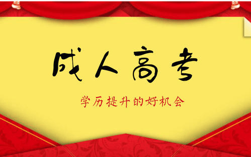 深圳成人高考：成就你我梦想的桥梁