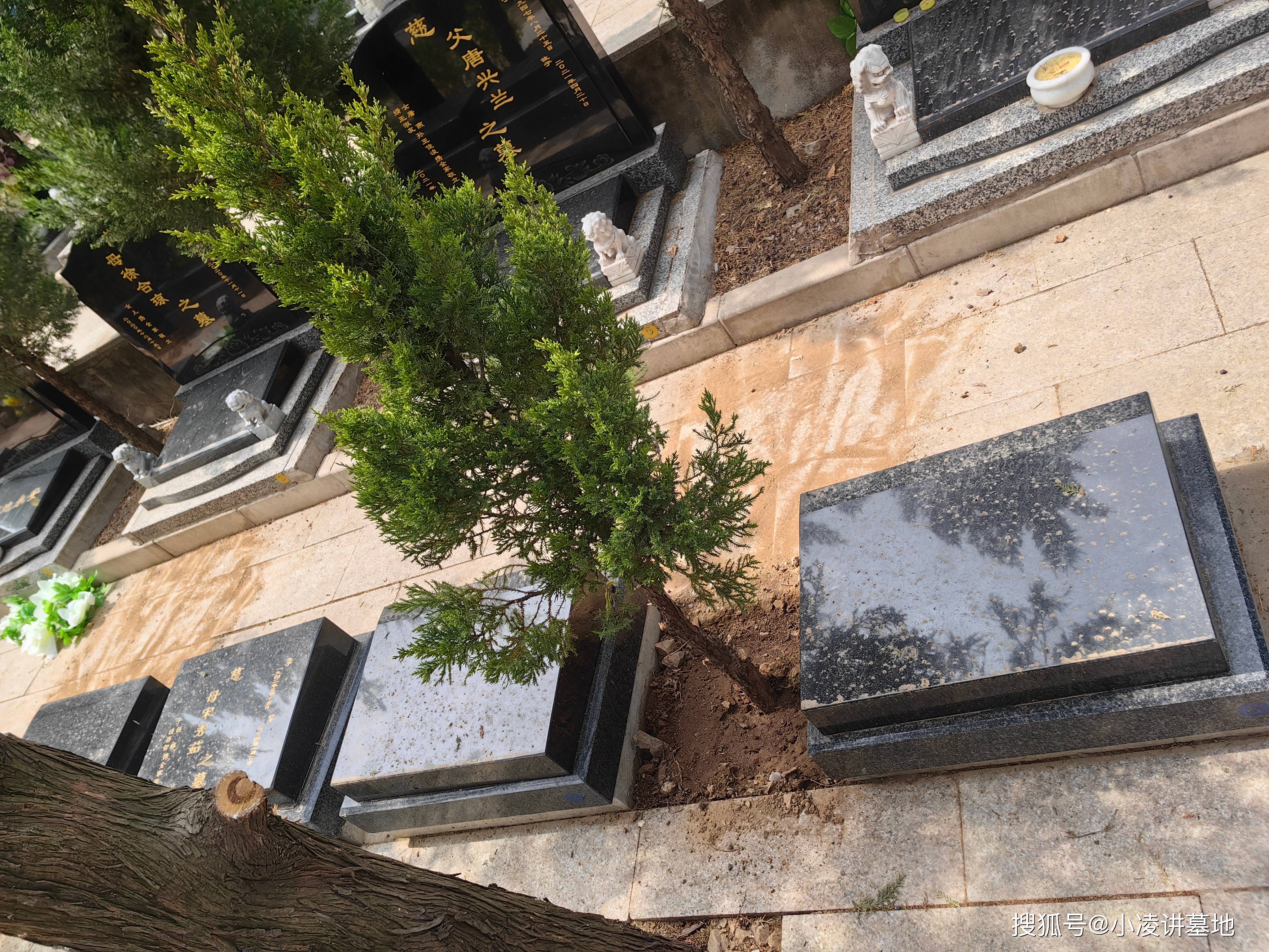 北京昌平十三陵景仰园:一座融合自然与文化的纪念圣地