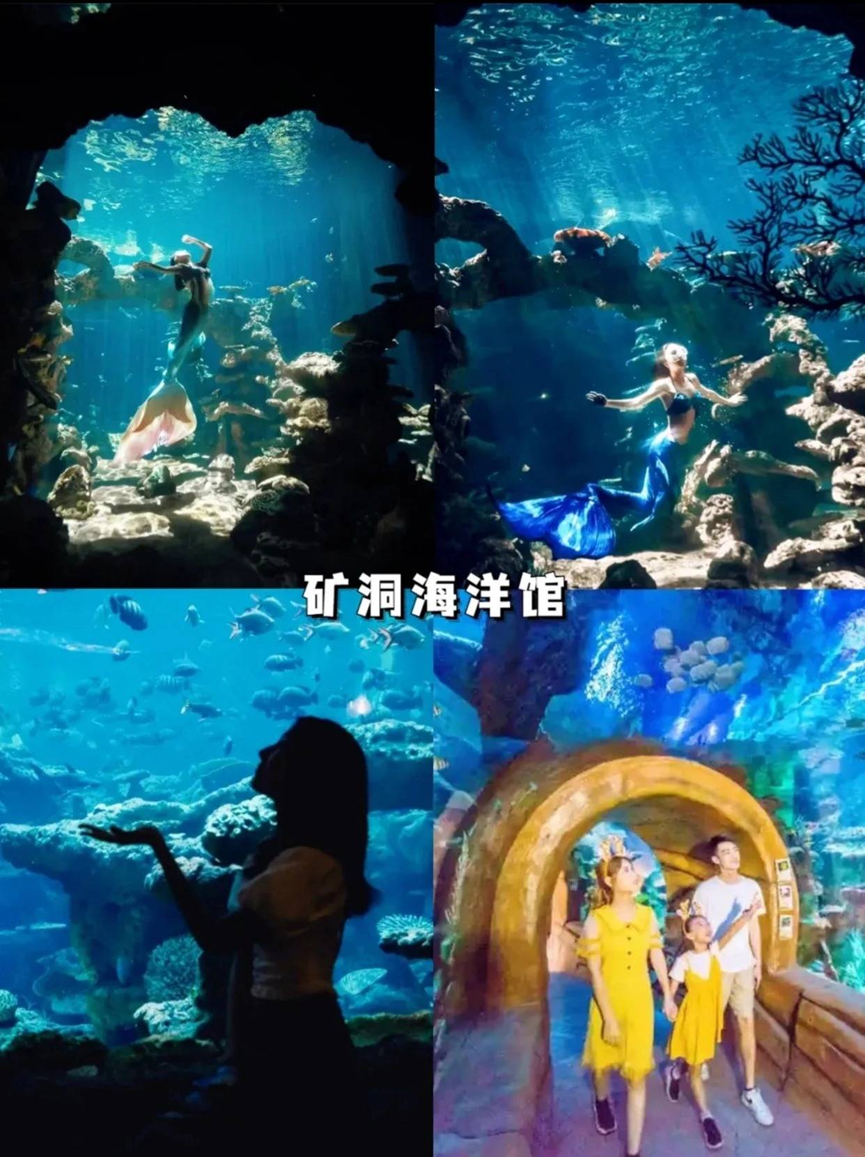 南阳水世界海洋馆票价图片