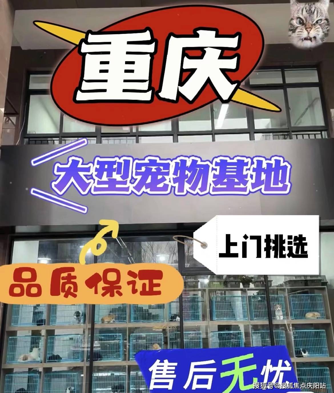 重庆福安家宠物店(江北店)位于:重庆江北区世纪阳光商业广场旁(看宠