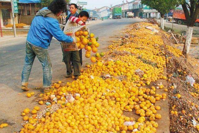 百吨水果积压,果农心痛,中国水果为何滞销?