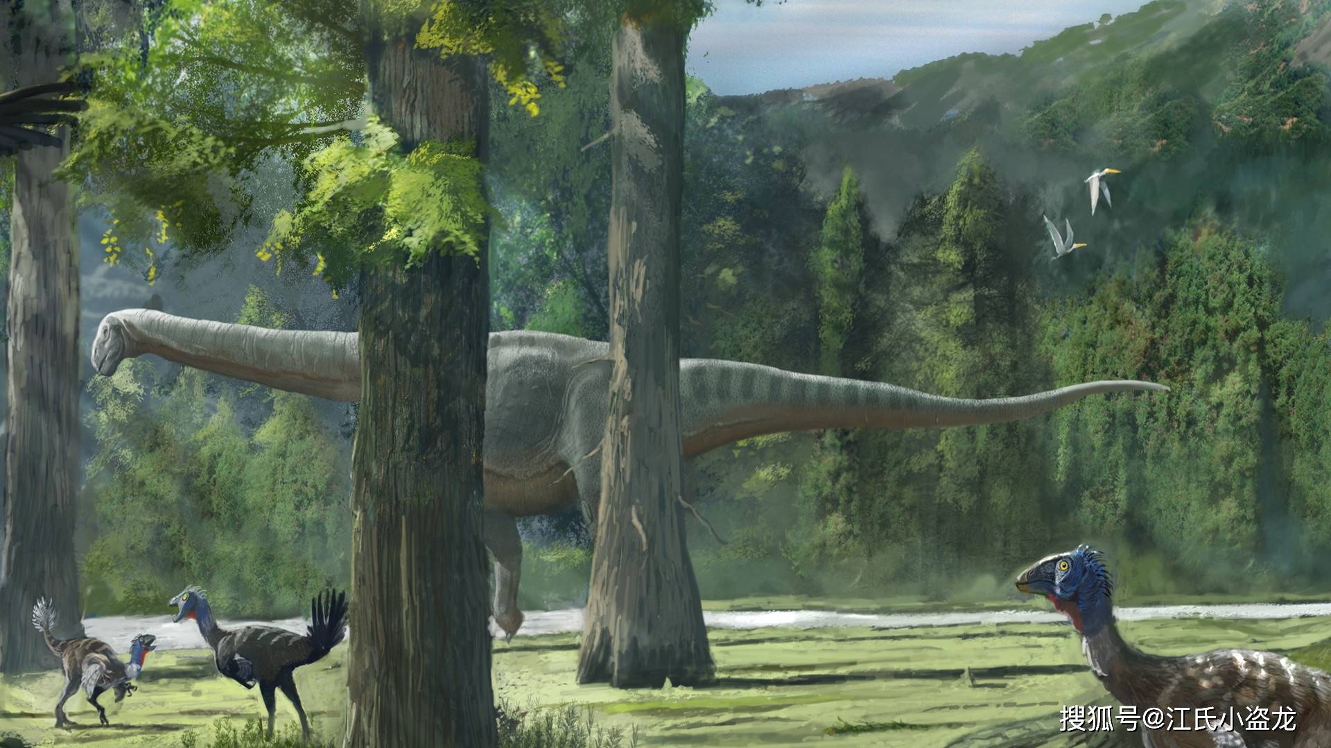 而羽毛恐龙的体型普遍都比较小,不过与这些羽毛恐龙生活在一起的也有