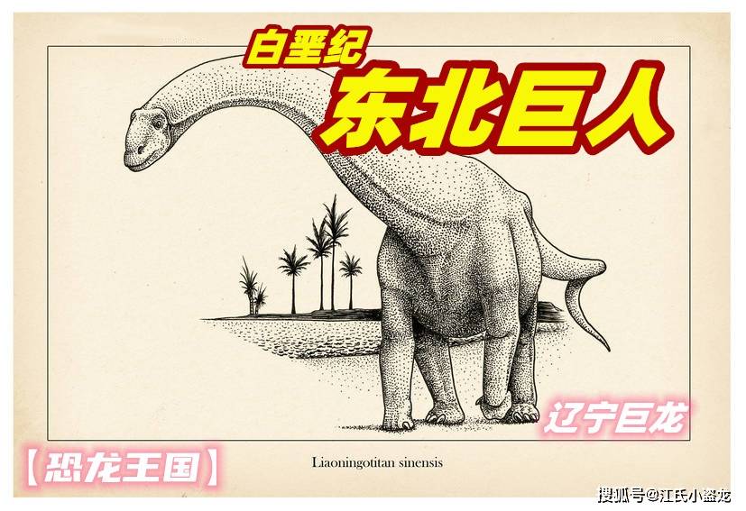 生活在热河生物群的巨大恐龙辽宁巨龙的化石最初由沈阳师范大学