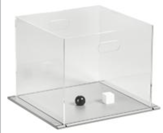 db023x型大小鼠新物体识别系统