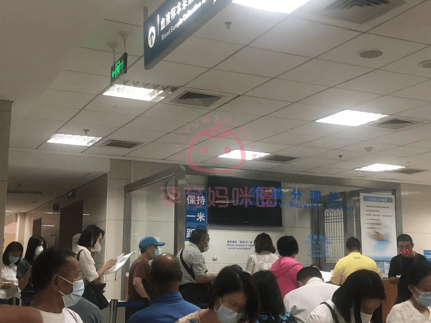 關(guān)于北大醫(yī)院、號販子電話,圈子口碑最好100%有號!的信息