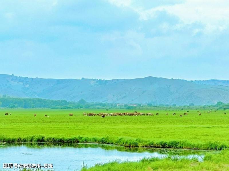 内蒙古七日游人均花费不到1500元!