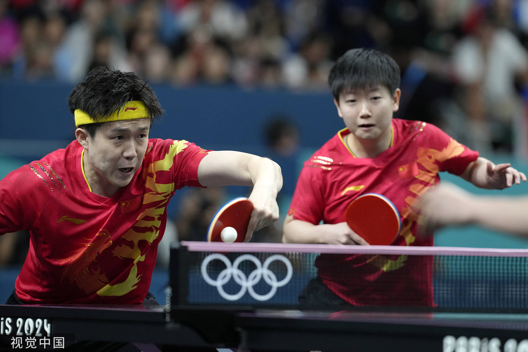 乒乓球体育最新新闻发布国乒主力阵容调整引发球迷热议