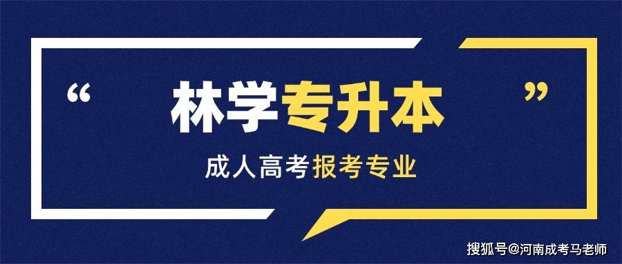 专升本咨询