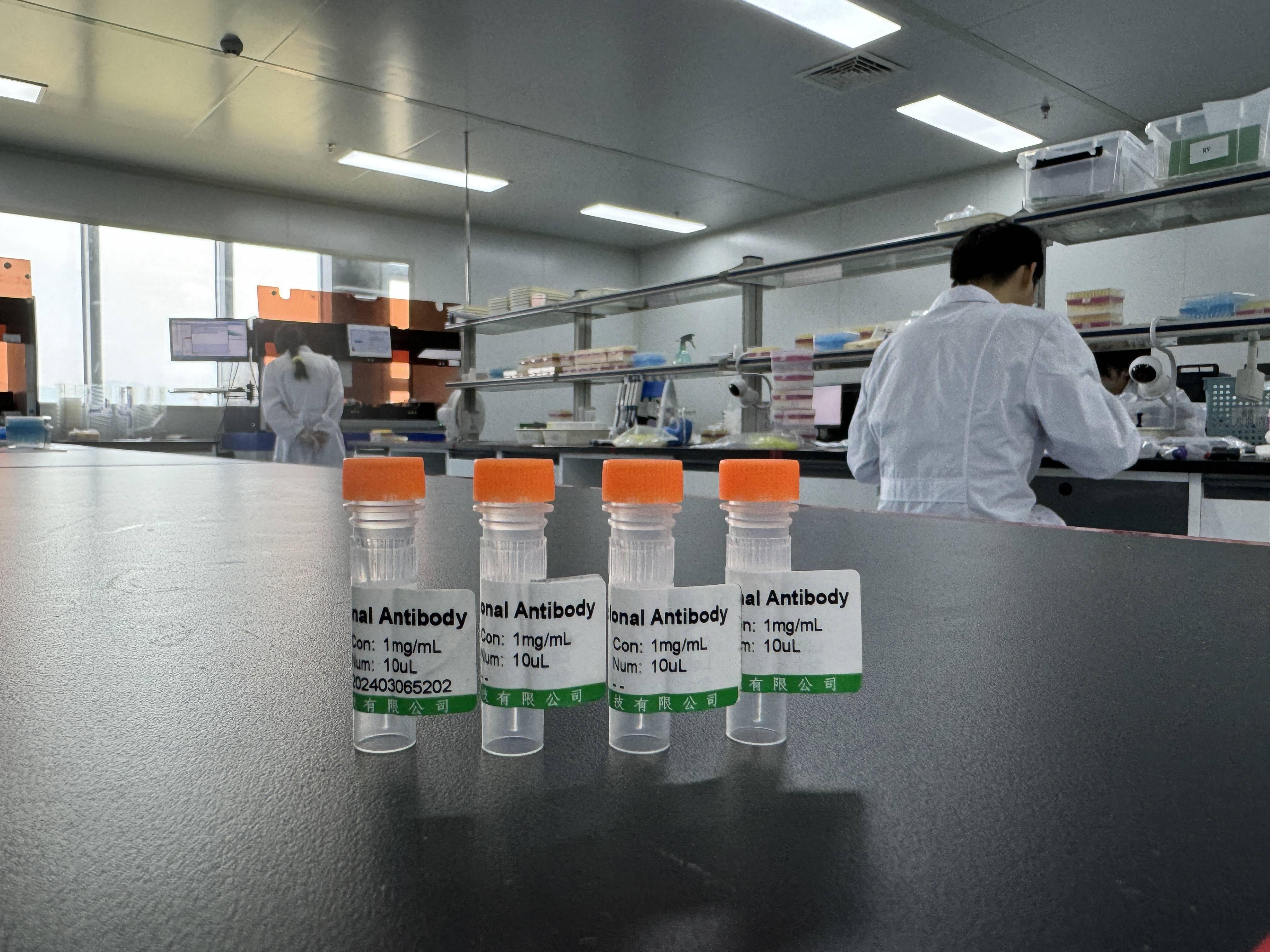 通过构建人源化或全人源抗体,减少免疫原性,提高患者的耐受性.