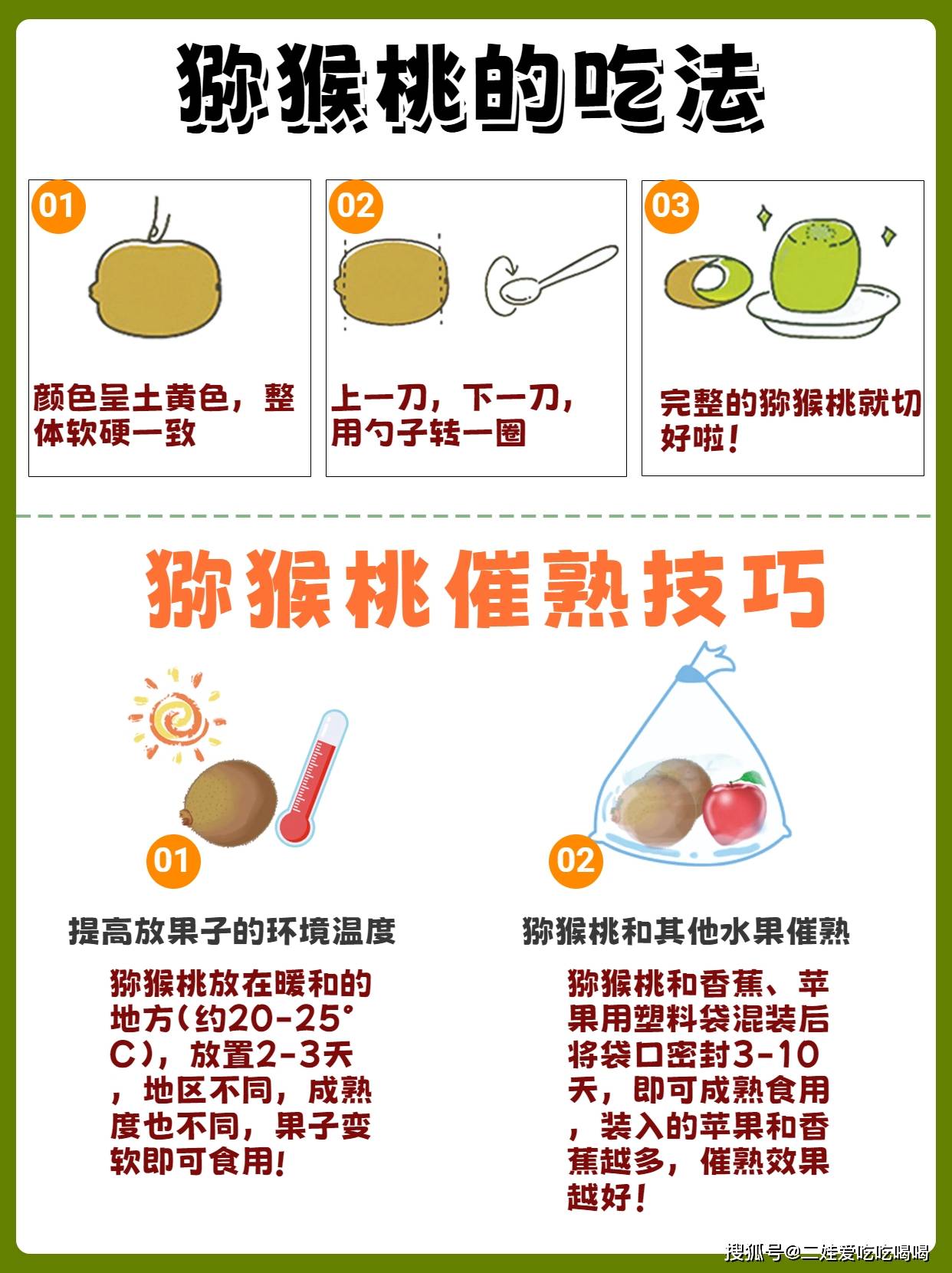 【猕猴桃说明书】常见16种猕猴桃特点及口感