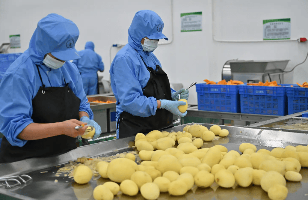 农副产品深加工:农业发展的强大助力之全自动净菜加工生产线