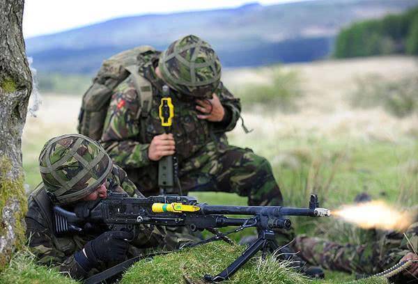 躲在树后可以挡住子弹射击?真实野战是否有效,真相让人不太相信