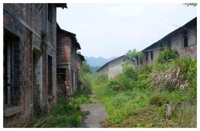 江西景德镇圣泰瓦厂图片