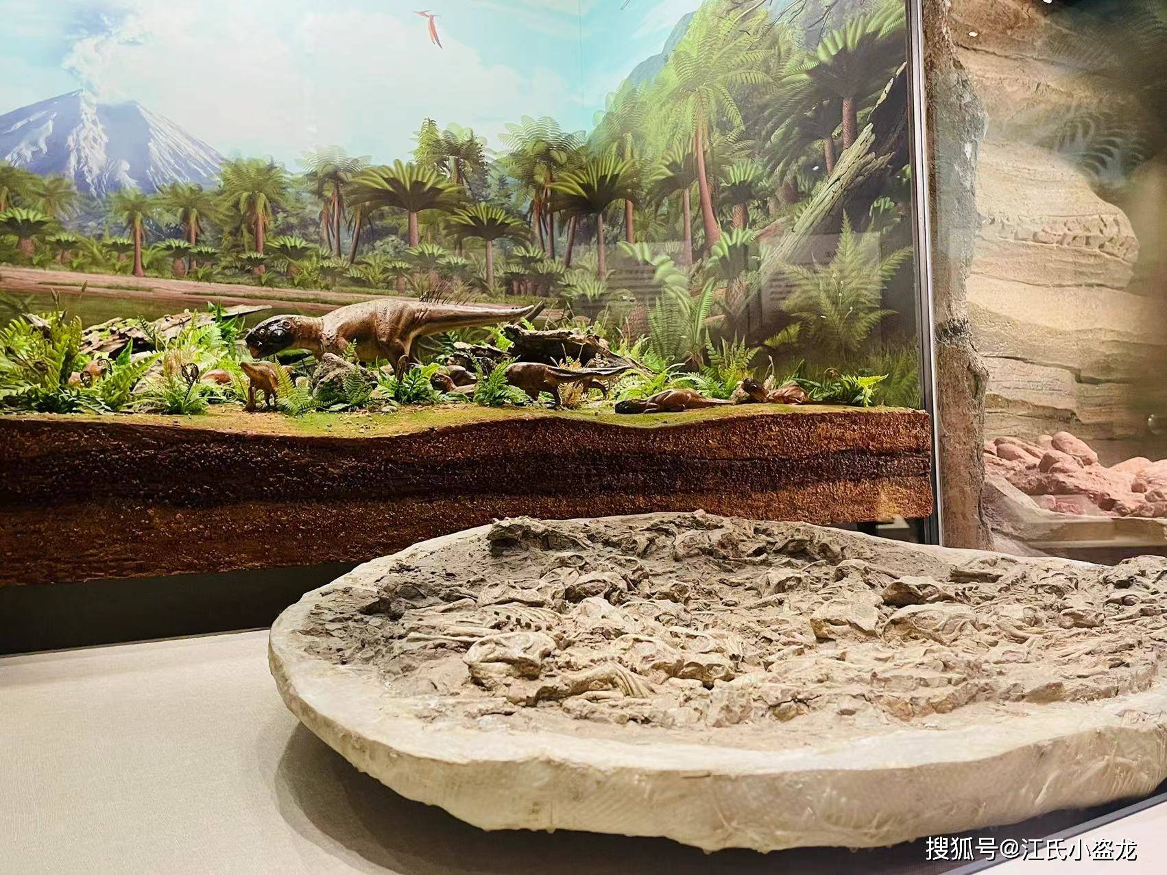 【博物馆探索】辽宁古生物博物馆