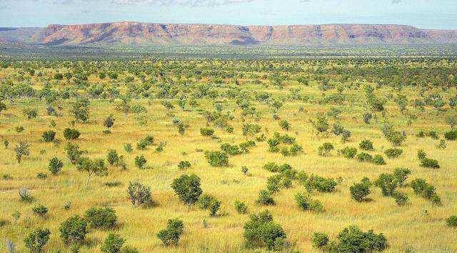 加拿大和澳大利亚都是领土大国，哪个国家的宜居面积更大？-加拿大和澳大利亚哪个更发达