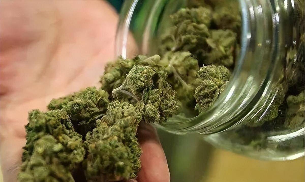 毒品_鸦片_吗啡