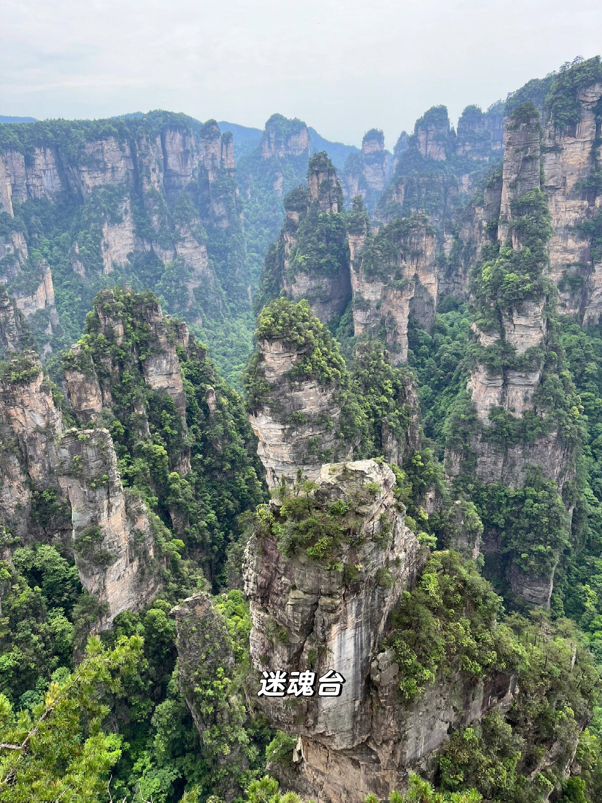 张家界森林公园|我也没想到能爬三天!来抄_东门_金鞭溪_索道