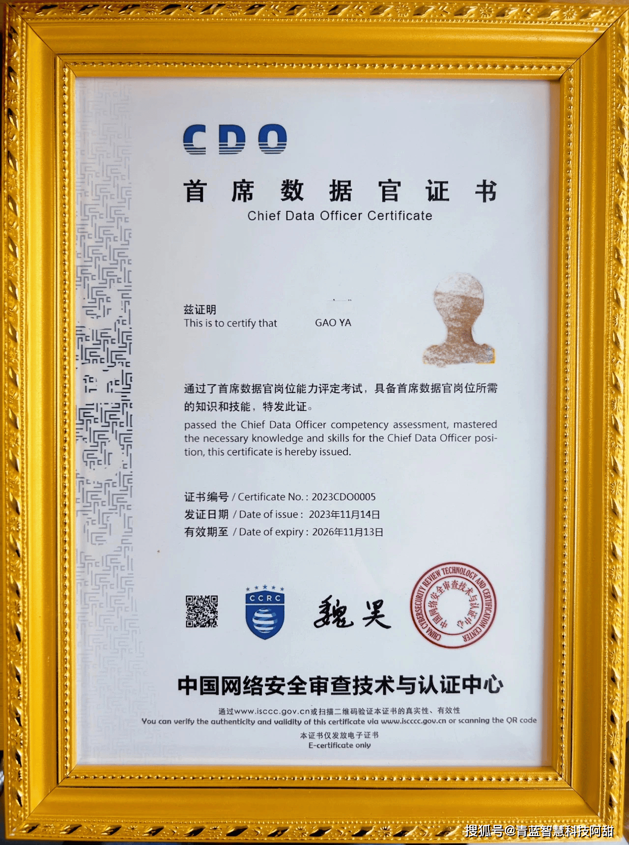 首席数据官CDO必须掌握的技能，你了解吗？_搜狐网