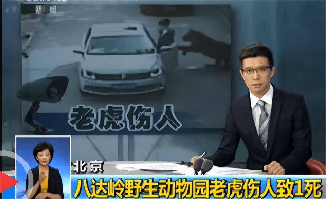 2016年八达岭野生动物园私自下车,被老虎撕咬的赵菁,如今怎样了_丈夫