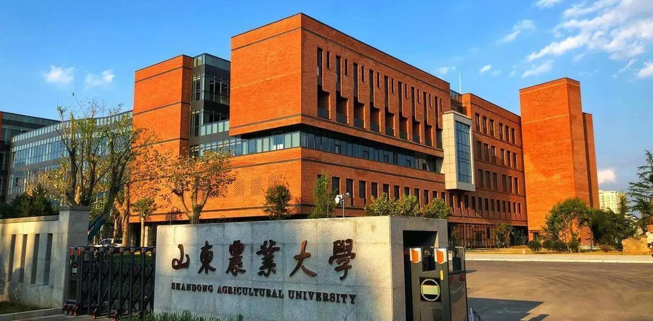 山东农业大学大门图片图片