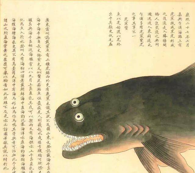 乾隆爷可曾见过大海?故宫里的海底世界—《海错图》详解