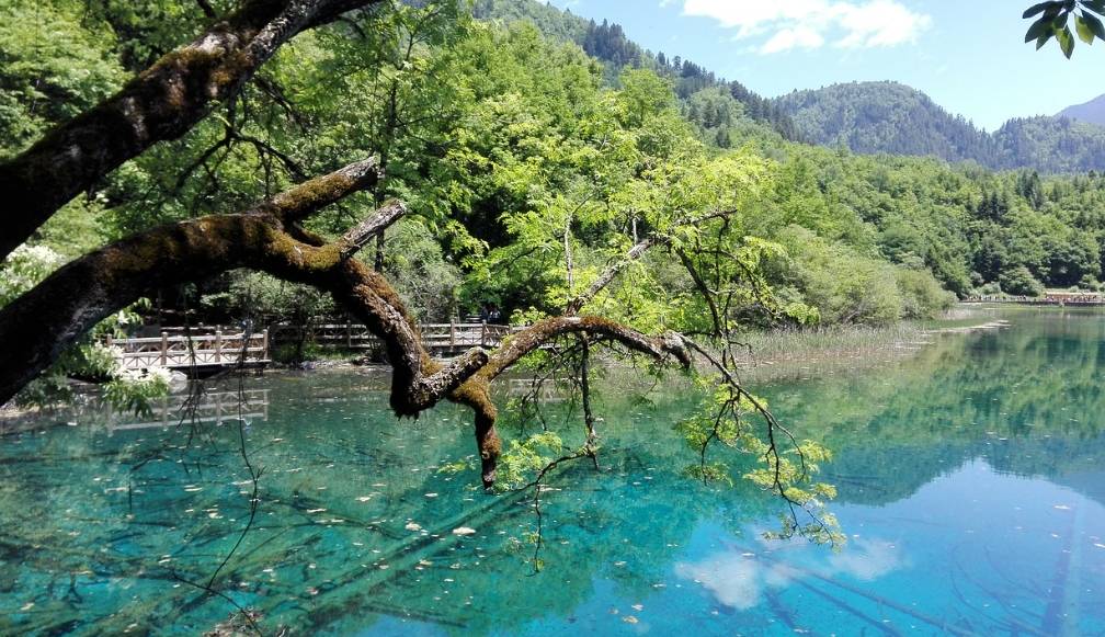 假期去四川旅游必去十大景点,推荐的热门景点