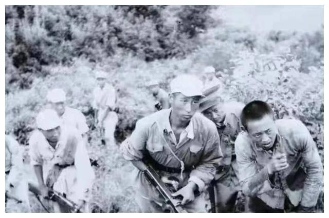 1950年云南剿匪行动图片