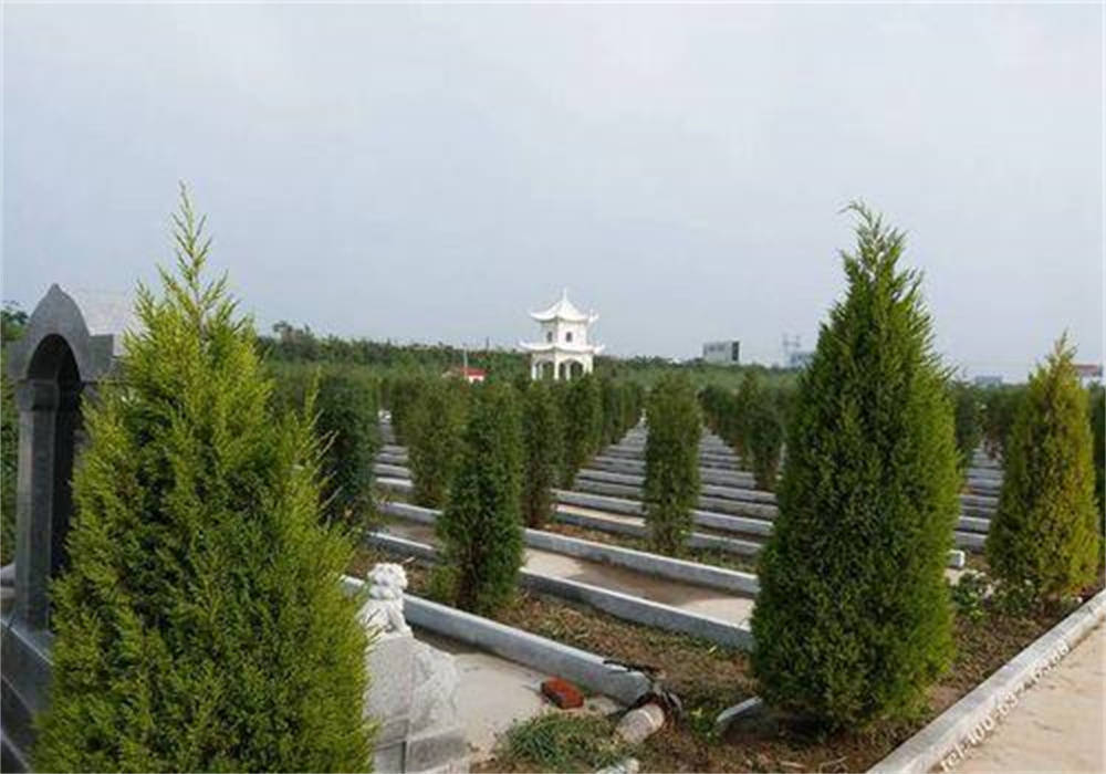 最近武汉黄陂归元陵园大概需要多少钱?